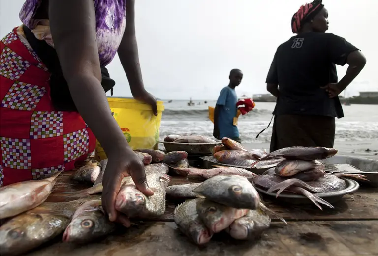 Société : ENTRE INFLATION MASQUEE ET DESTRUCTIONS D'EMPLOIS, LA PRESSION MONTE SUR LE POUVOIR D'ACHAT AU SENEGAL